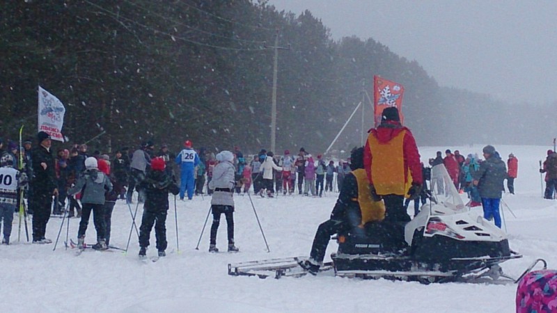 Лыжные гонки
